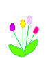 цветка